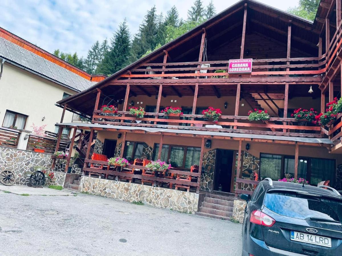 Cabana Loredana Vadu Motilor Zewnętrze zdjęcie